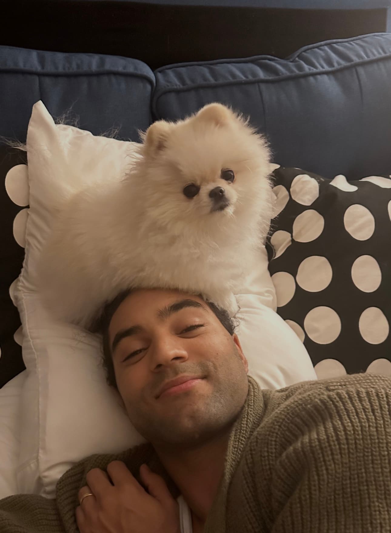 Chris Machetto and Lua, the Pomeranian who inspired Pet Breeder Hub