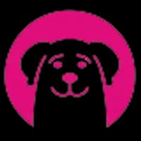 Amazing Dogs